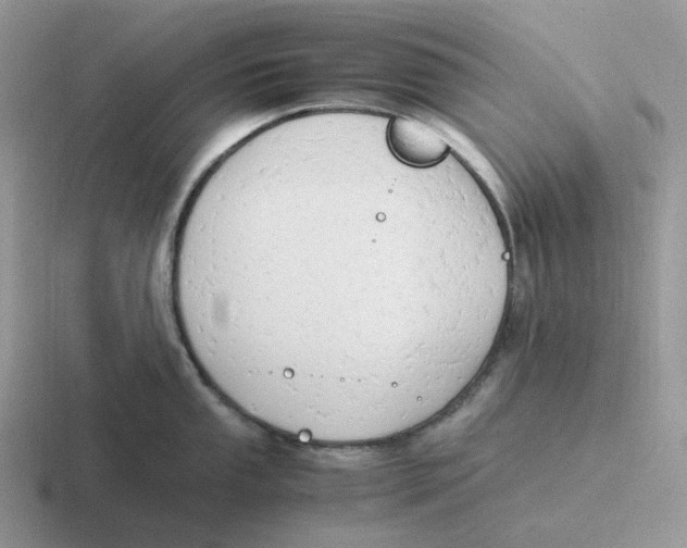 X0000116661053201001041106