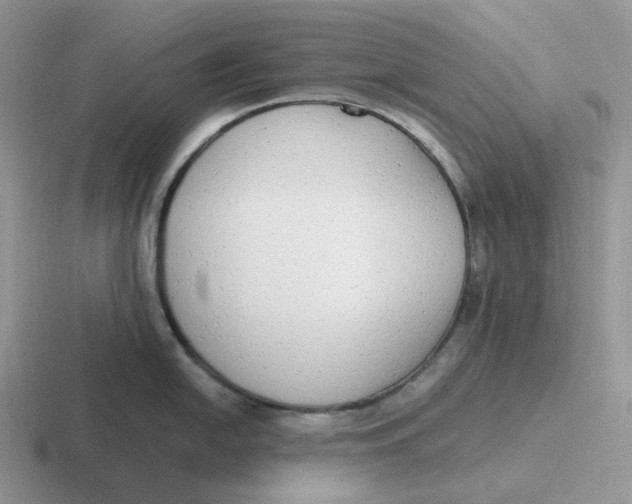 X0000116661054201001041106