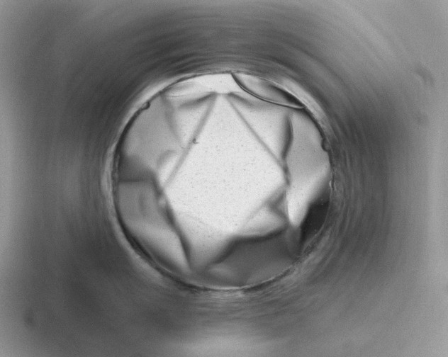 X0000116661055201001041106