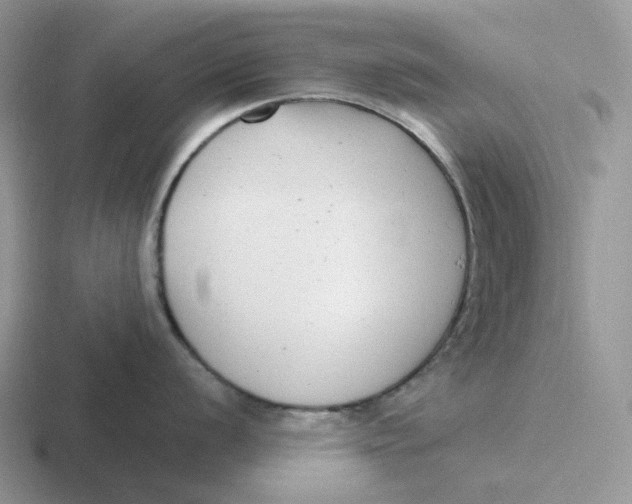 X0000116661056201001041106