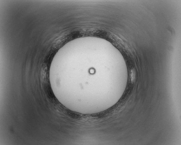 X0000116661059201001041105