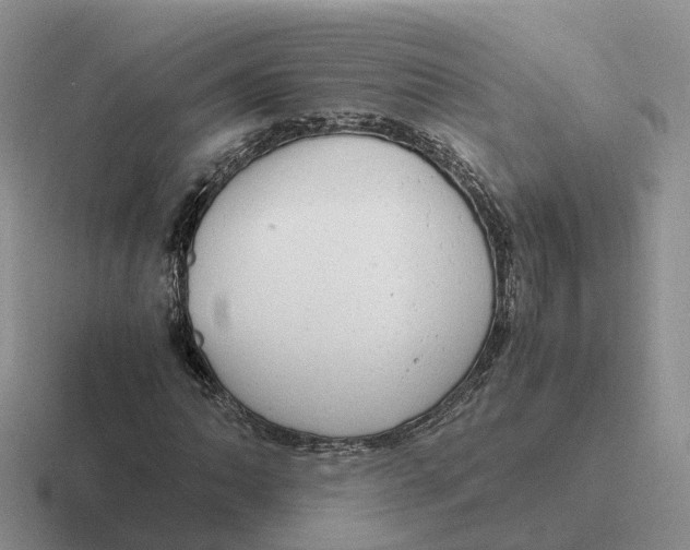 X0000116661062201001041105