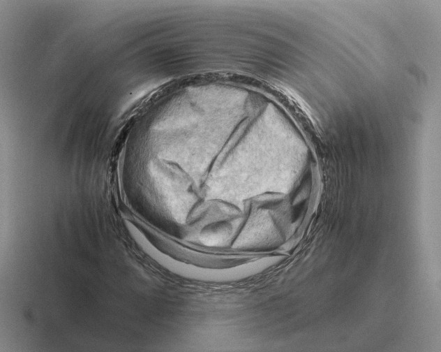 X0000116661064201001041105