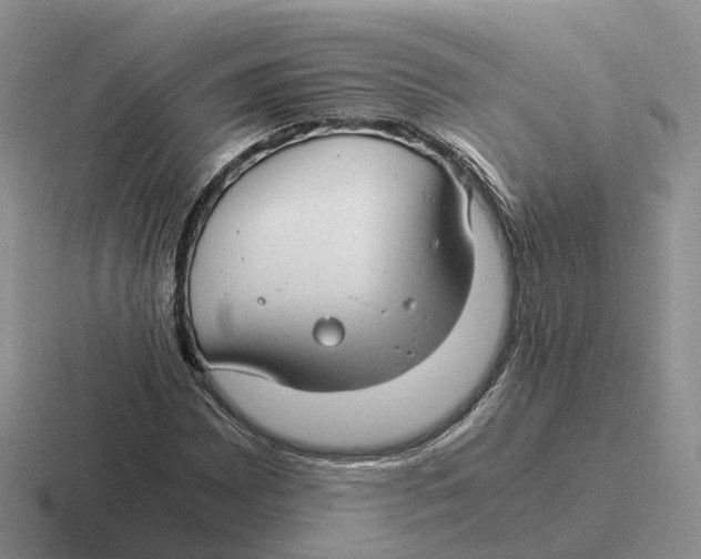 X0000116661065201001041105