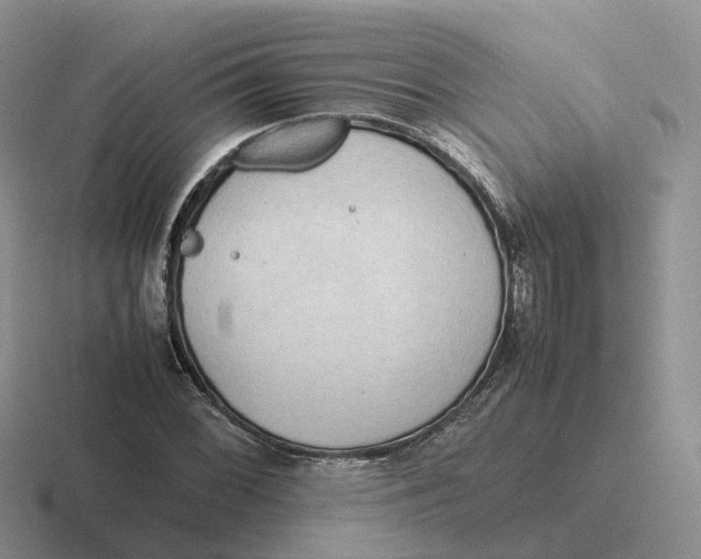 X0000116661068201001041105