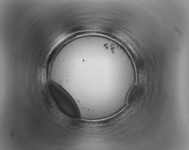 X0000116661069201001041105