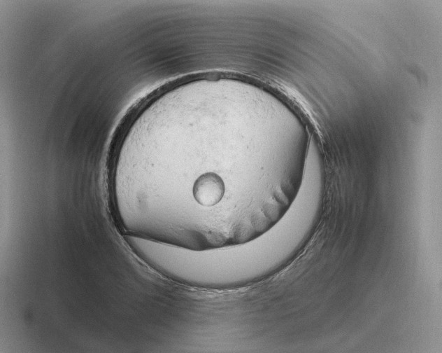 X0000116661072201001041105