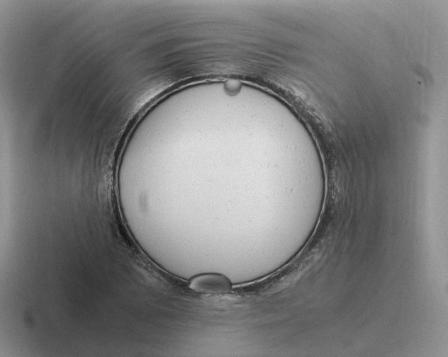 X0000116661073201001041105