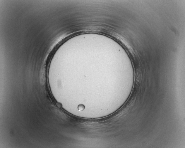 X0000116661075201001041105