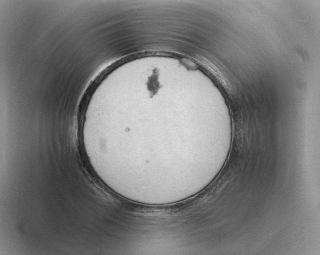 X0000116661076201001041105