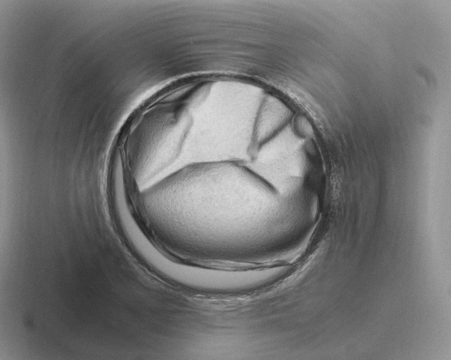 X0000116661077201001041105