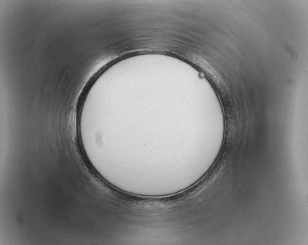 X0000116661079201001041105