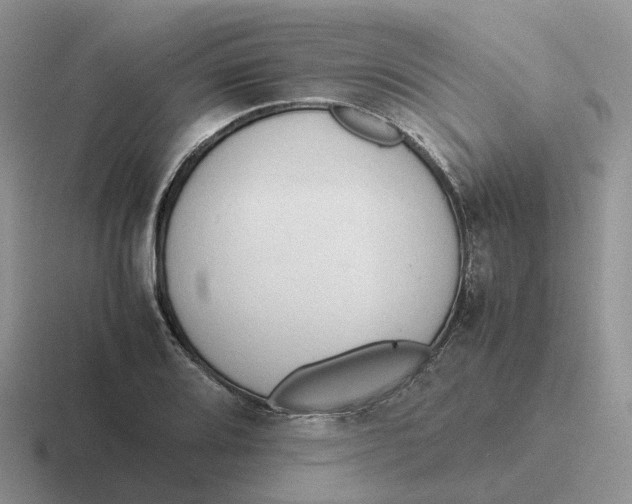 X0000116661080201001041105