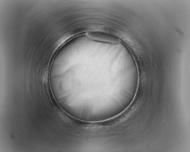 X0000116661081201001041105