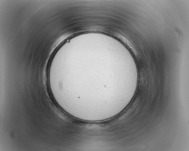 X0000116661082201001041105