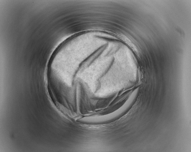 X0000116661084201001041105