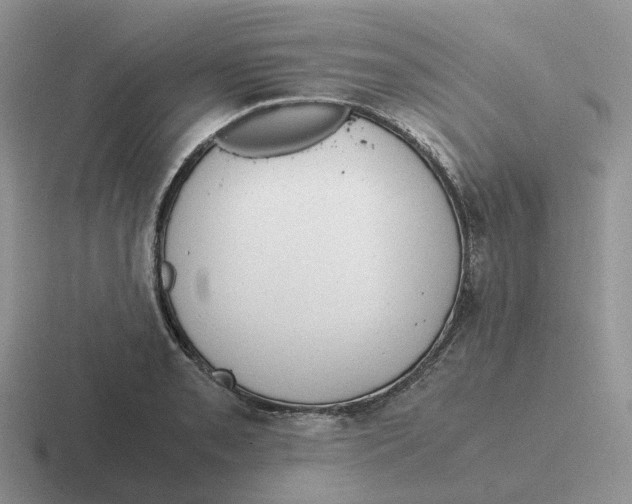 X0000116661085201001041105