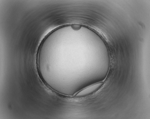 X0000116661086201001041105