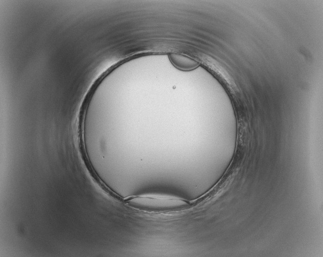 X0000116661087201001041105