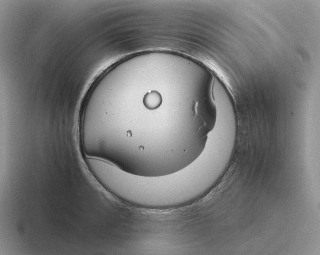 X0000116661088201001041105