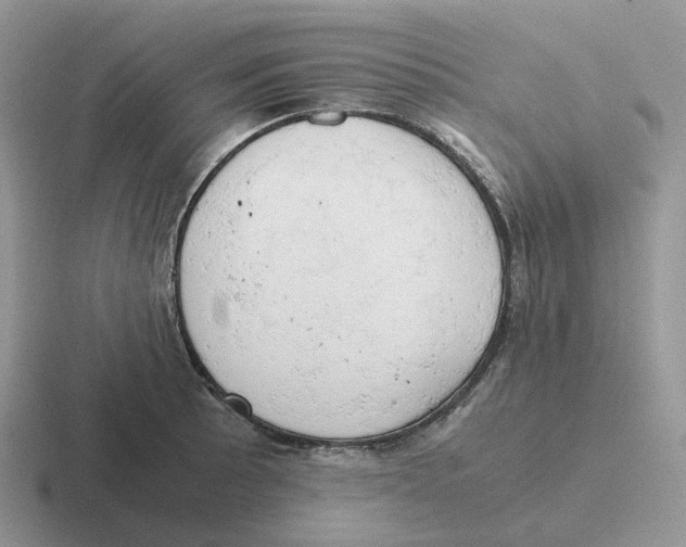 X0000116661089201001041105