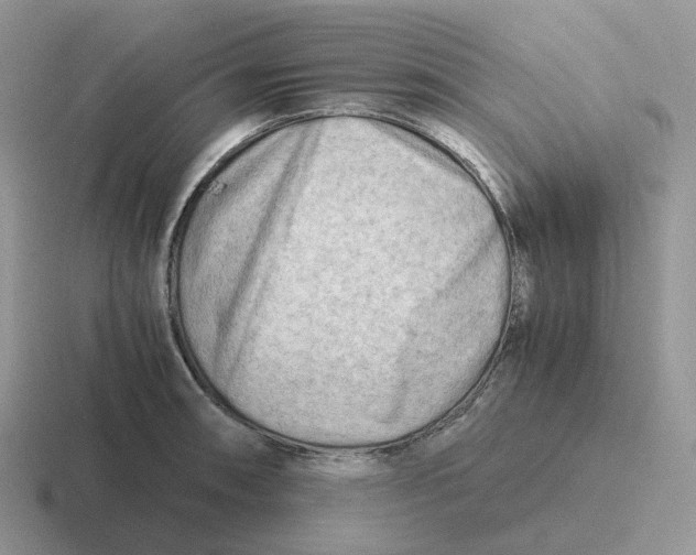 X0000116661090201001041105