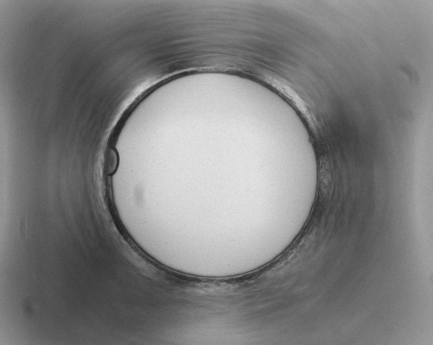 X0000116661091201001041105