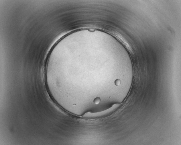 X0000116661092201001041105