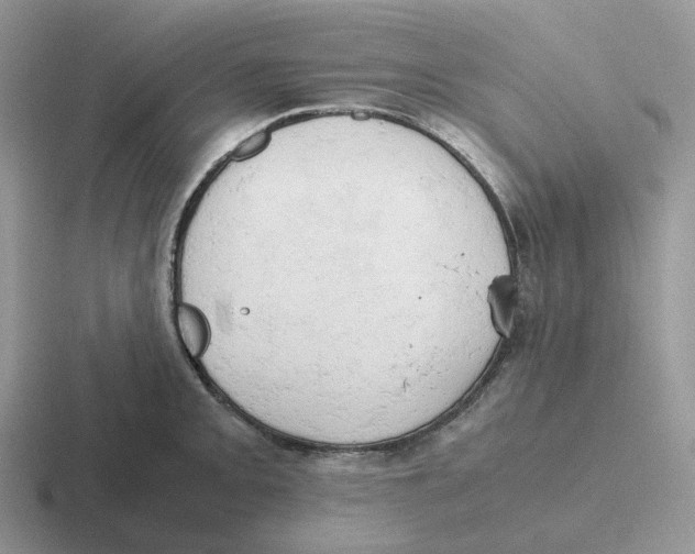 X0000116661093201001041105