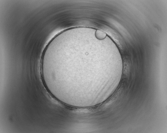 X0000116661094201001041105