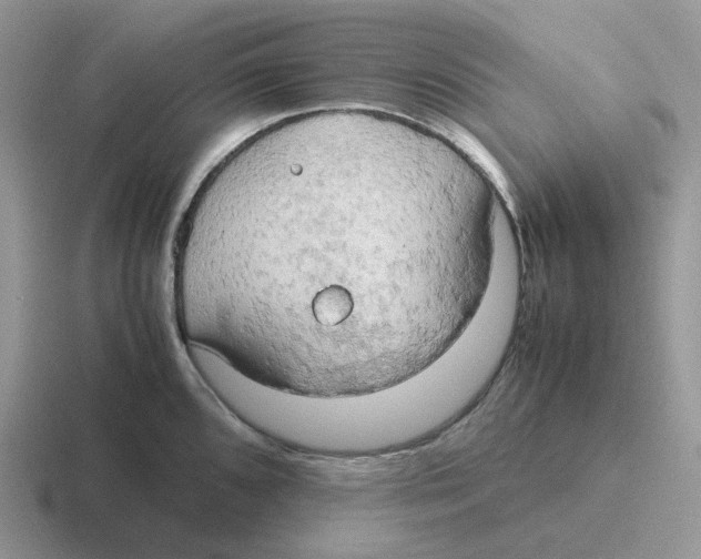 X0000116661096201001041105