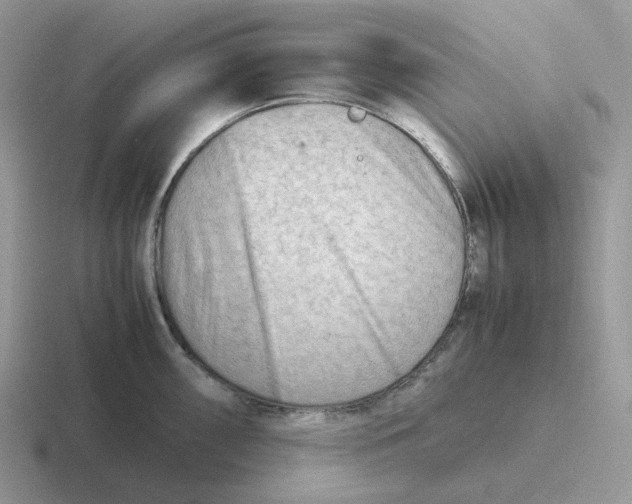 X0000116661098201001041105