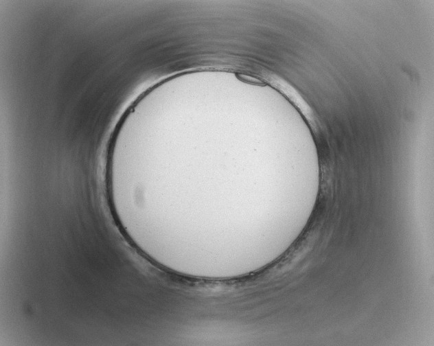 X0000116661099201001041105