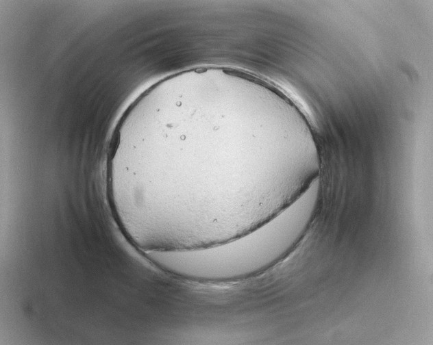 X0000116661100201001041105