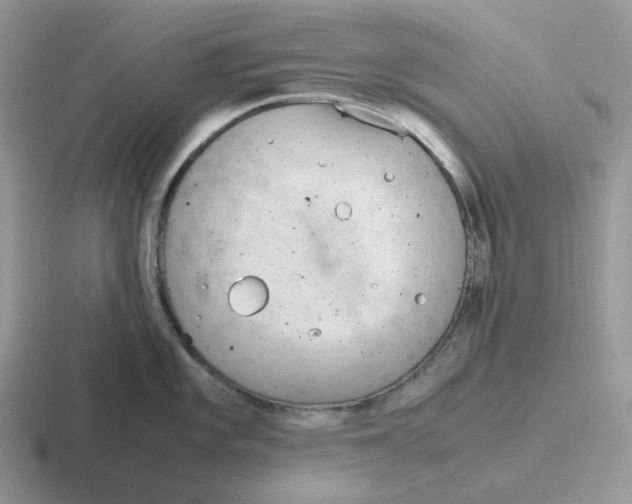 X0000116661101201001041105