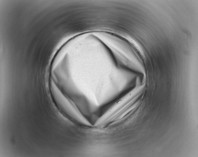 X0000116661102201001041105