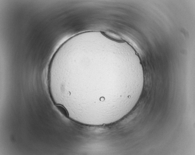 X0000116661103201001041105