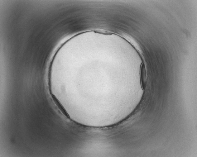 X0000116661104201001041105