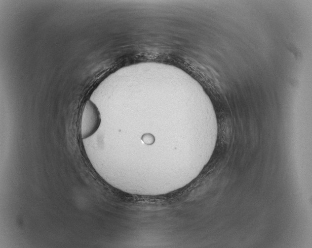 X0000116661105201001041104