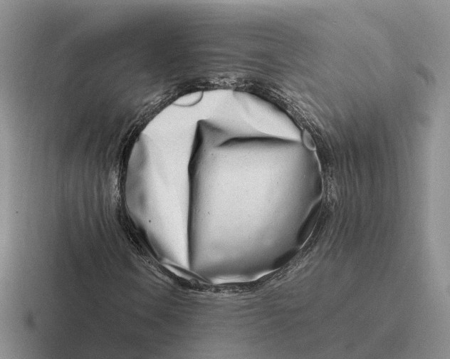 X0000116661106201001041104