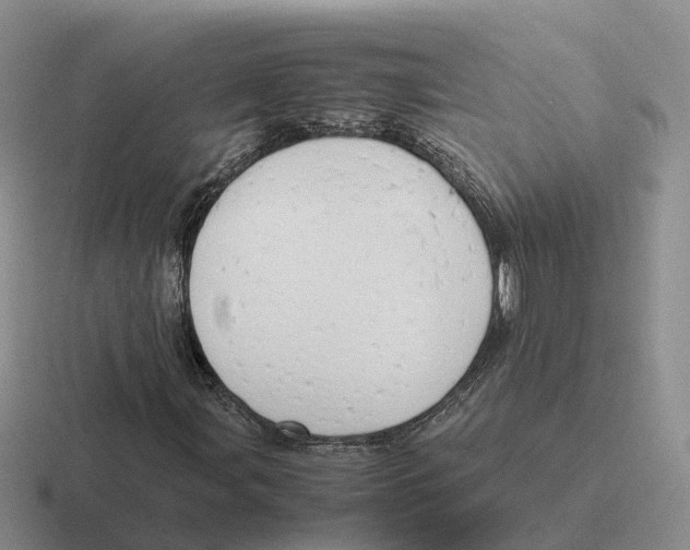 X0000116661107201001041104