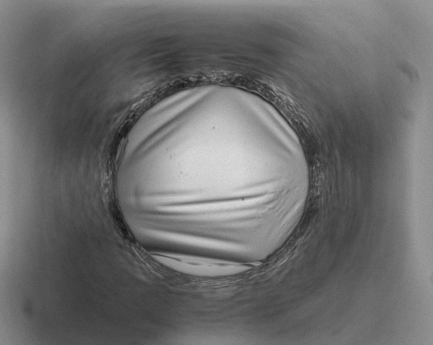 X0000116661109201001041104