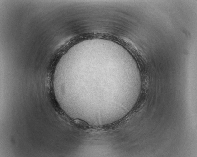 X0000116661110201001041104