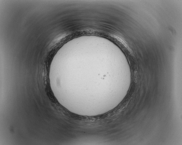 X0000116661111201001041104