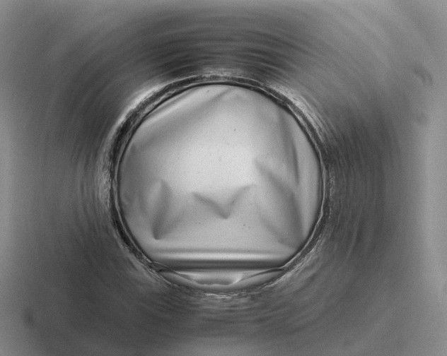 X0000116661115201001041104