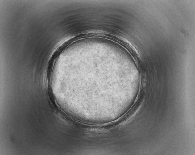 X0000116661117201001041104