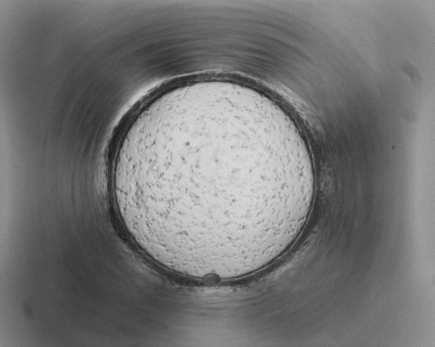 X0000116661118201001041104