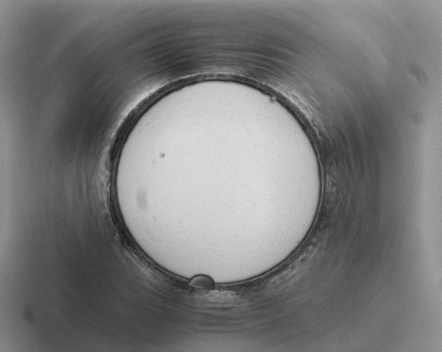 X0000116661119201001041104