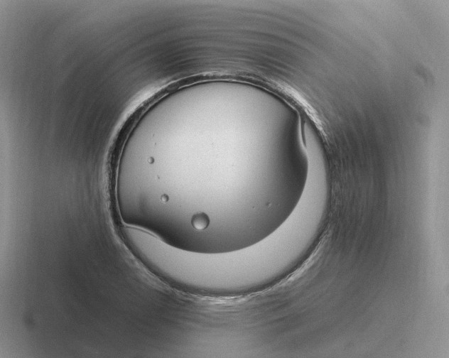 X0000116661122201001041105