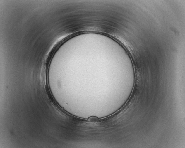 X0000116661123201001041105